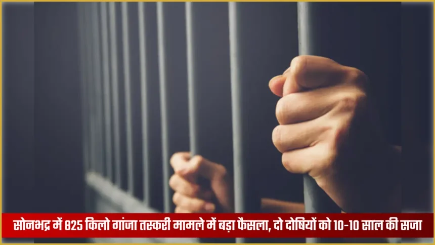 सोनभद्र अदालत में गांजा तस्करी एनडीपीएस मामले का फैसला